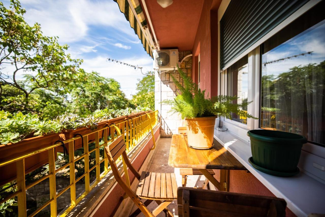 Apartman Klara Zadar - Jazine Eksteriør billede